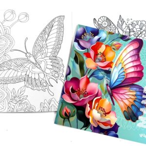 butterflys-2