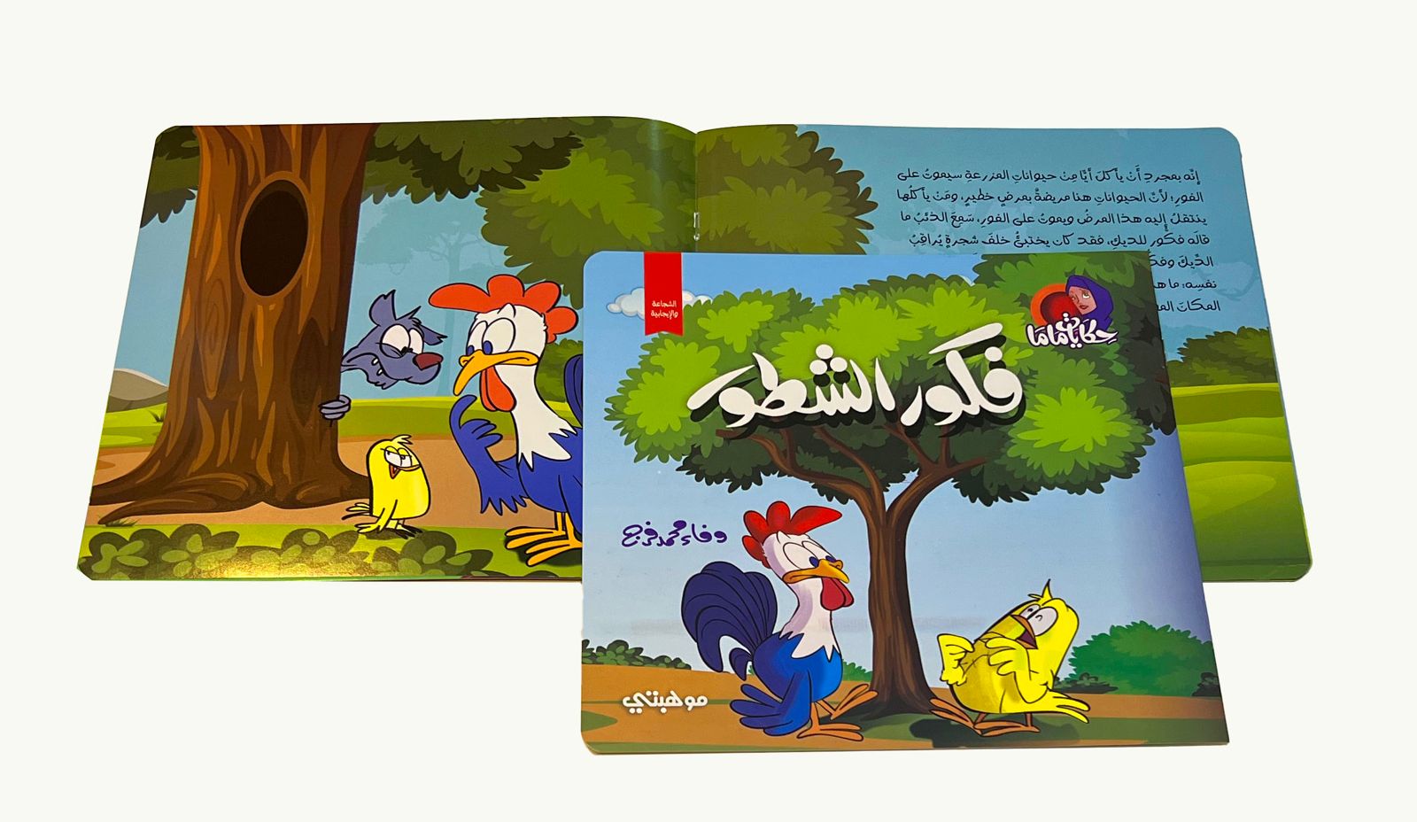 Story Book Cover 10
