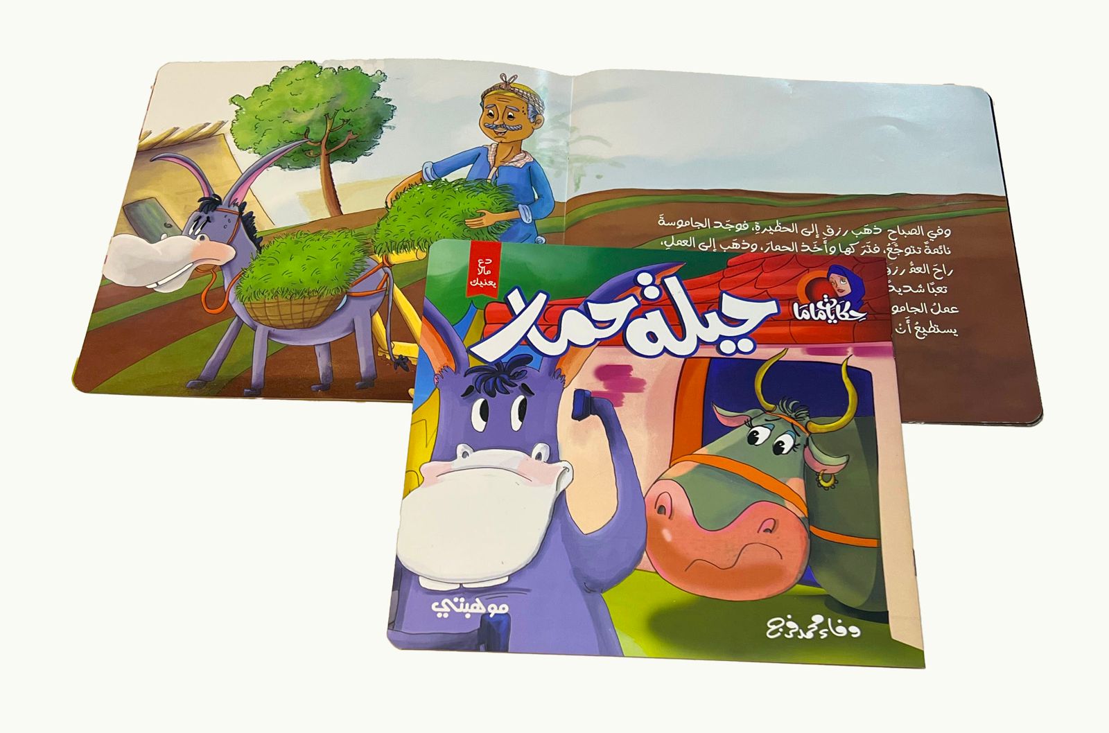 Story Book Cover 6